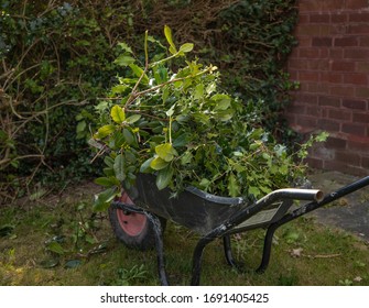 Black Wheel Barrow Full Of Garden Waste 