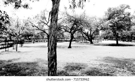 black and white