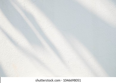 Black And White  Abstract Background Textuer Of Shadows Leaf On A Concrete Wall.