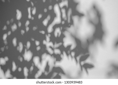 Black and White abstract background textuer of shadows leaf on a concrete wall - Shutterstock ID 1303939483