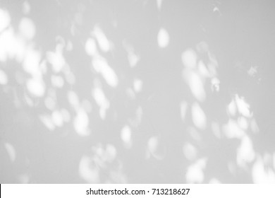 Black and White  abstract background textuer of shadows leaf on a concrete wall.