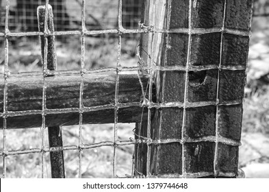 Black And White Abstract Of  Railroad Tie Used As A Fence Post With Woven Wire Fencing Attached Covered In Ice After A Winter Storm.  