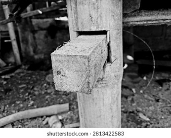 Black and white angled view of a square wooden peg inserted into a bamboo pillar. Antique mortise and tenon joint detail of rustic Indonesian vernacular architecture