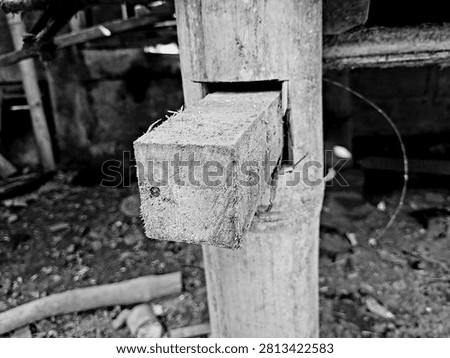 Black and white angled view of a square wooden peg inserted into a bamboo pillar. Antique mortise and tenon joint detail of rustic Indonesian vernacular architecture
