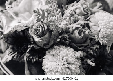 Black And White Antique Dead Roses On Velvet Still Life