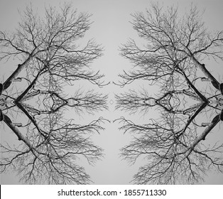 Branch Of Science Images Stock Photos Vectors Shutterstock