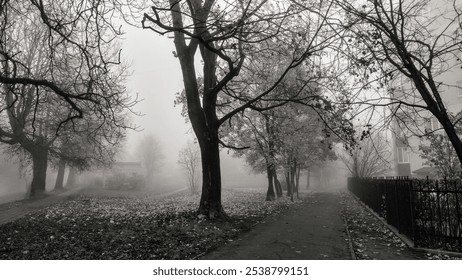 Black and White Autumn Foggy Sidewalk in Park along the Fence, Bare Trees, atmosphere of Darkness and Horror, Gloom and Desolation, Outdoor, no people - Powered by Shutterstock