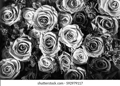 Fleurs Noir Et Blanc Stock Photos Images Photography