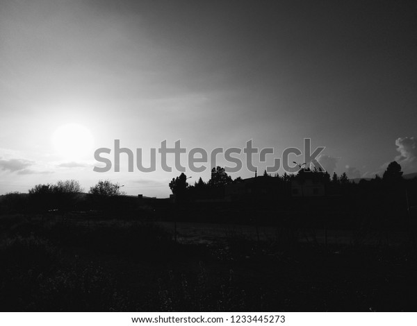 black and white background of\
view of sunlight with low contrast and darkness mode and\
trees