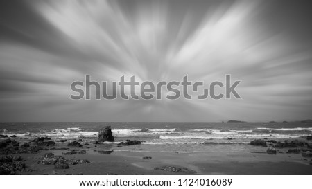 Similar – Image, Stock Photo roaming the beach 2 Nature