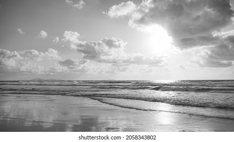 Black And White Beautiful View Of California Tijuana Ocean Beach