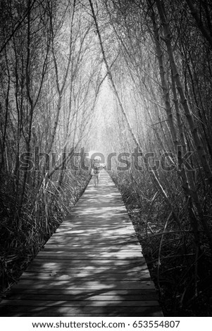 Similar – Man walking along the jetty