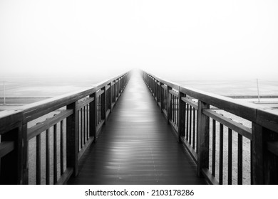 black and white blackandwhite mist fog 