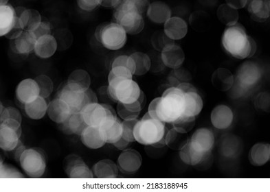 Black and white bokeh nature background