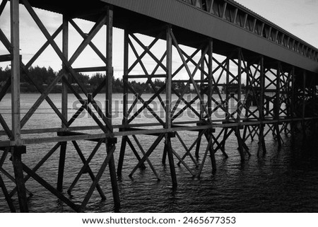Black and white bridge support view