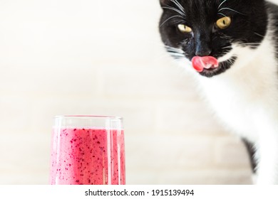 A black and white cat licks its lips, looking at a delicious drink. Healthy food, the concept of love for pets. Tasty breakfast. Unusual taste preferences. Pet Day, World Cat Day. Copy space. - Powered by Shutterstock