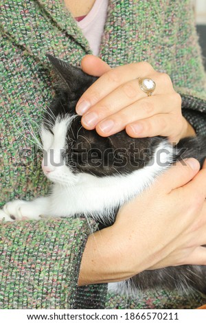 A black and white cat is sitting on a woman's lap and being petted.