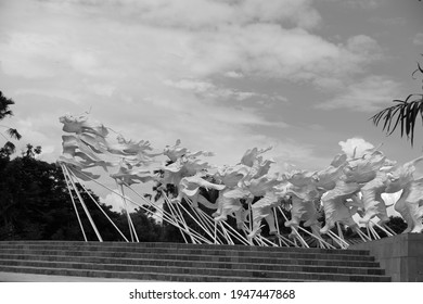 black and white for certain objects 