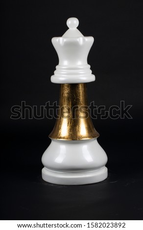 Black and white chess pieces, figurines