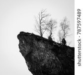 black and white cliff with trees