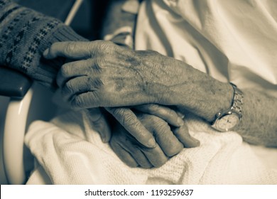 Black And White Close Up Of Elderly Couple Holding Hands In Hospital