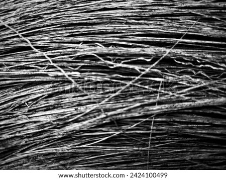 black and white close-up abstract blur background of rice straw stack