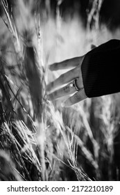 Black And White Closeup Of Hand With Ring Brushing Tall Weeds