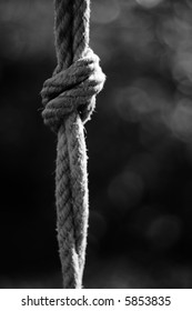 Black and white close-up of node