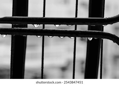 Black and white close-up of raindrops on metal bars, highlighting the serene beauty of water droplets in an urban setting - Powered by Shutterstock