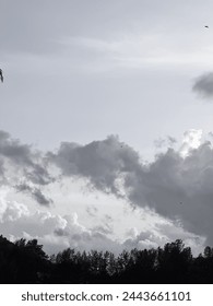 Black and white of the cloudscape at the beach