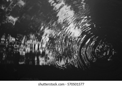 Black and white color, reflection , shadow in water.