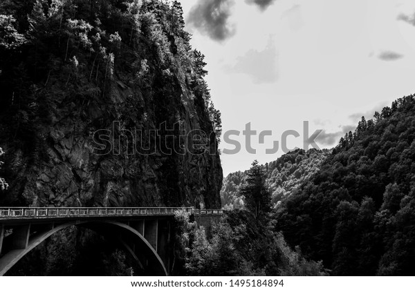 Black and white composition of mountain\
road passing through forest covered rocky mountain and large forest\
on Transfagarasan