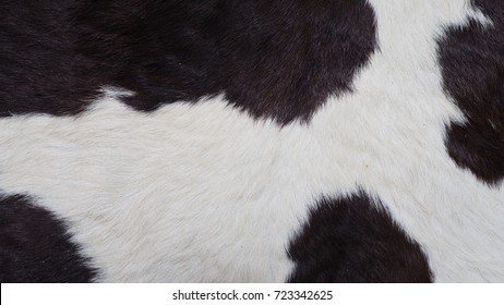 Black And White Cow Fur 

