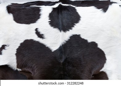 Black And White Cow Hide