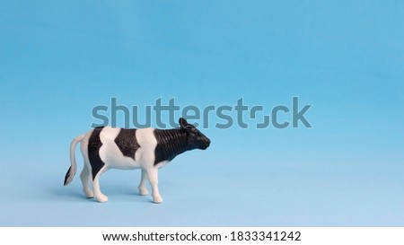 Black and white cow on a blue background. Miniature of a bull. Alpine cow