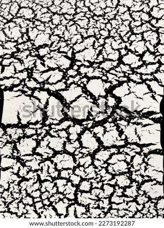 Black and White Crackle Motif Wall