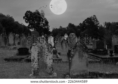 Black and white cross tombstones of Christian graves in a cemetary at night with a full moon and bats.