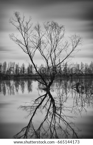 Similar – Foto Bild ::ELBSTRAND:: Baum Holz