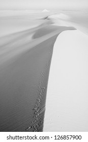 Black And White Desert Landscape