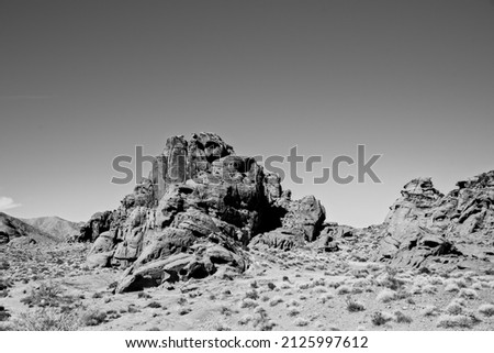 Similar – Image, Stock Photo desert guard Colour photo