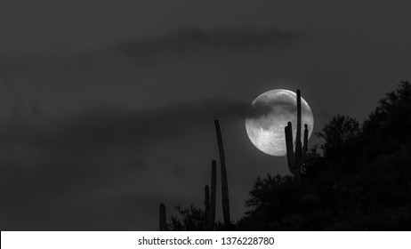 Equinox In Black And White >> Spring Equinox Stok Fotograflar Gorseller Ve Fotograflar Shutterstock Equinox In Black And White >> Spring Equinox Stok Fotograflar Gorseller Ve Fotograflar Shutterstock