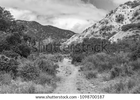 Black and white detailed forest trails for hiking and biking in California mountains