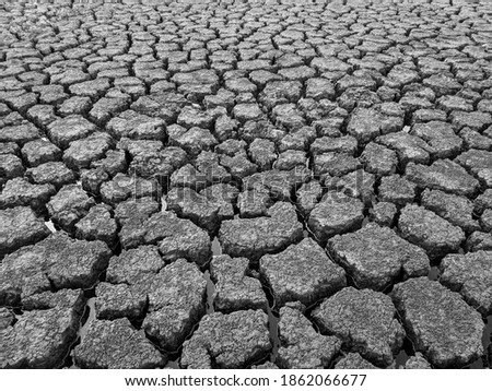 black and white Dried cracked lake bottom background texture global warming