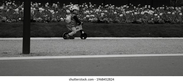 Black And White Easy Rider