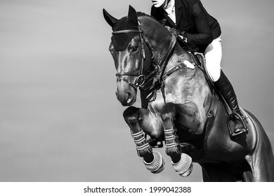 70,717 Horse in action Images, Stock Photos & Vectors | Shutterstock