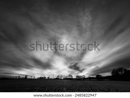 Similar – Image, Stock Photo Trees vs. storm 1 : 0