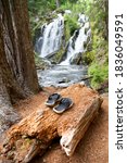 Black and white flip-flops laying on a decomposing log next to National Creek Falls in the Rogue River - Siskiyou National Forest in the Southern Oregon Cascades.