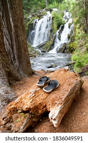 Black and white flip-flops laying on a decomposing log next to National Creek Falls in the Rogue River - Siskiyou National Forest in the Southern Oregon Cascades. - Shutterstock ID 1836049591