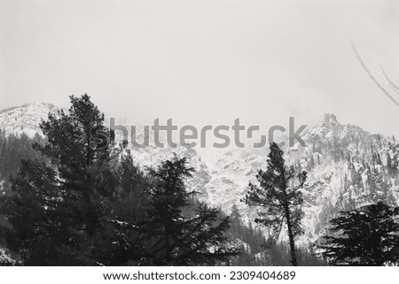 black and white of forest in a mountaineous region and a mountain at background covered with snow