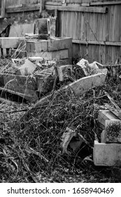 Black And White Forgotten Cinder Blocks Over Grown  By Mother Nature 